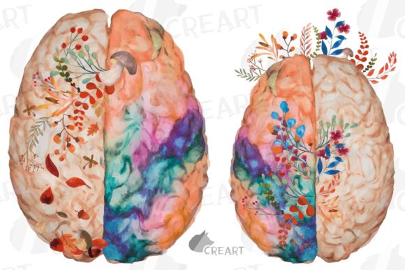 Blooming Autumn Anatomical Brain Design Graphics