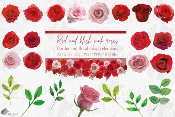 Blush Pink and Red Watercolour Roses Art: Graphics for Print Templates