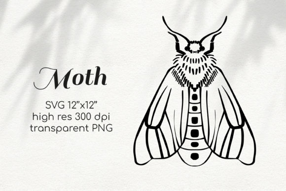 Moth Line Art Clipart: Graphics for Creative Branding